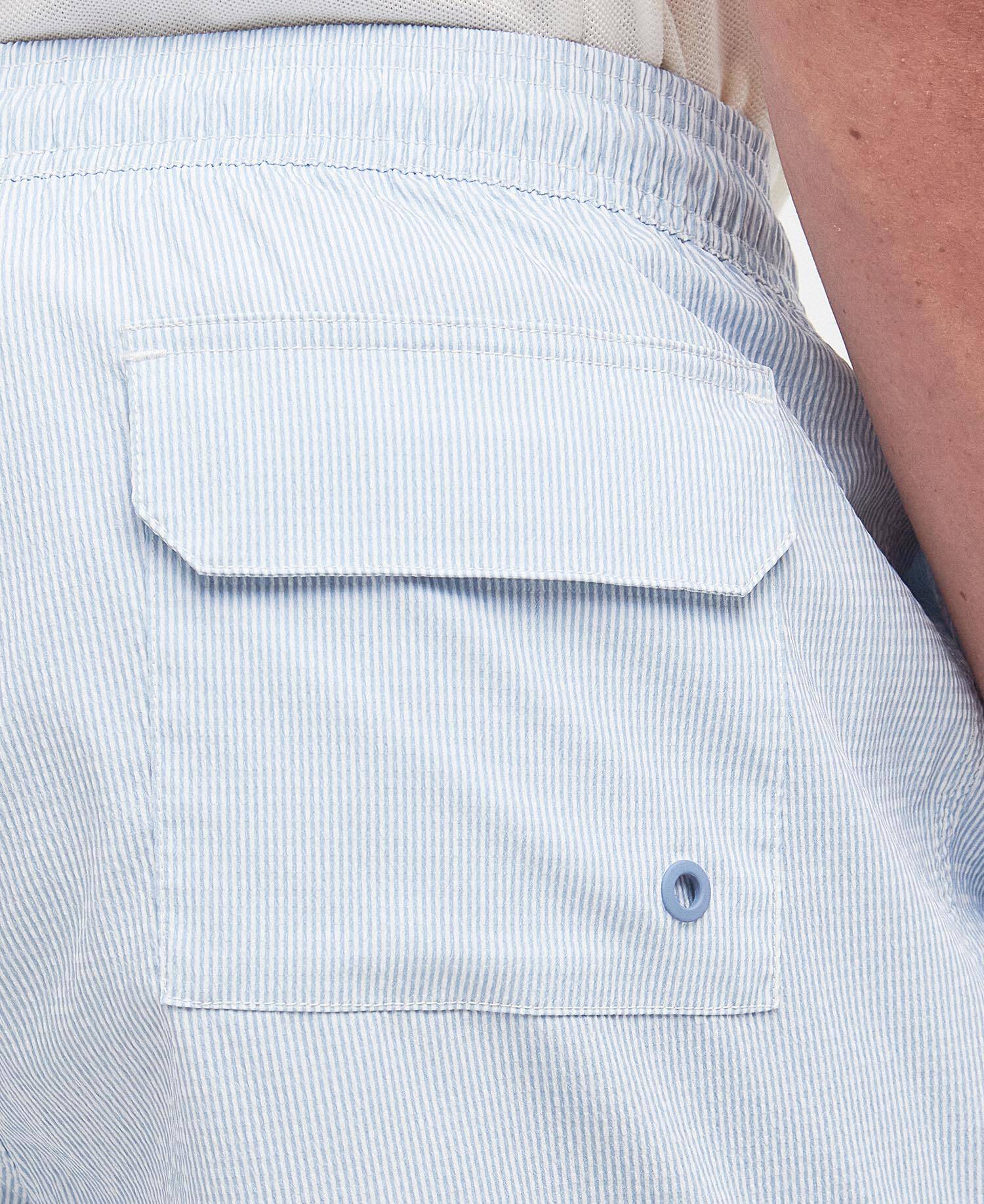 Barbour Somerset Pinstripe Swim Shorts
