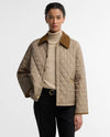Light Trench/ Birchwood
