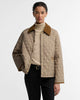 Light Trench/ Birchwood