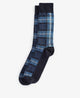 Berwick Blue
