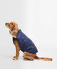 Classic/Navy