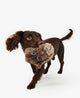 Brown-Tartan